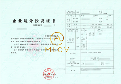 ODI备案成功案例2