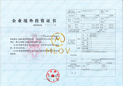 ODI备案成功案例3