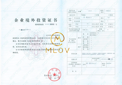 ODI备案成功案例3