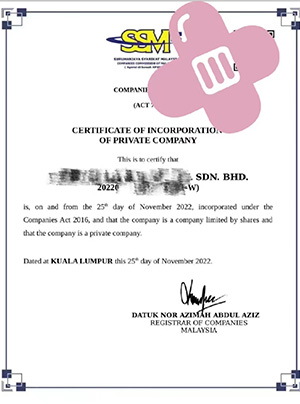 马来西亚公司注册证书样本，展示成功注册案例